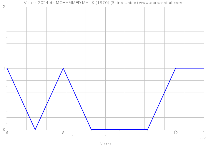 Visitas 2024 de MOHAMMED MALIK (1970) (Reino Unido) 