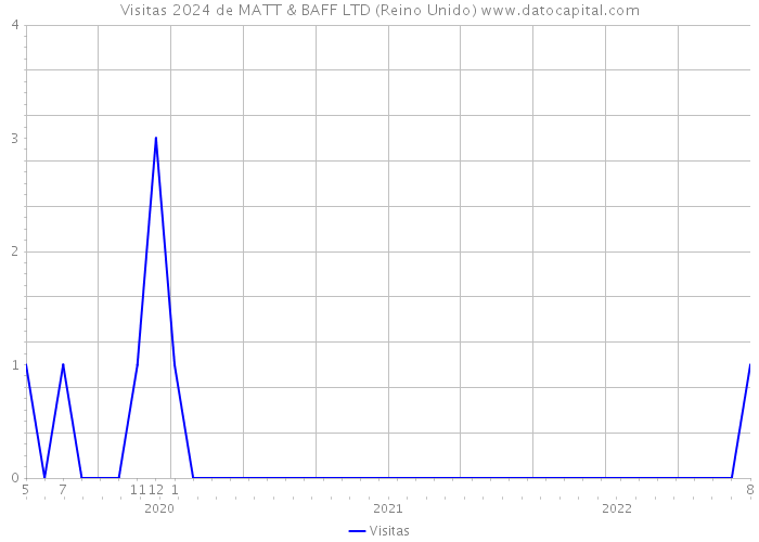 Visitas 2024 de MATT & BAFF LTD (Reino Unido) 