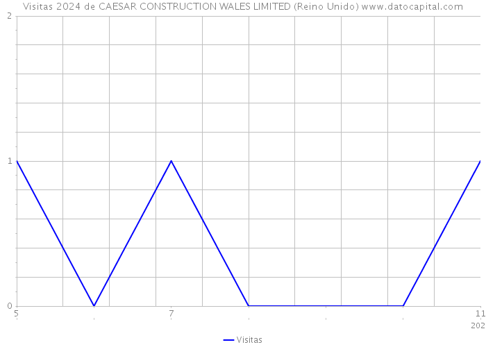 Visitas 2024 de CAESAR CONSTRUCTION WALES LIMITED (Reino Unido) 