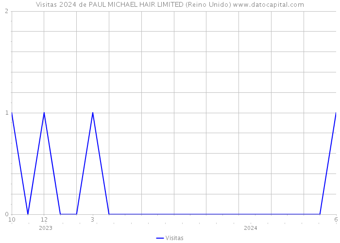 Visitas 2024 de PAUL MICHAEL HAIR LIMITED (Reino Unido) 