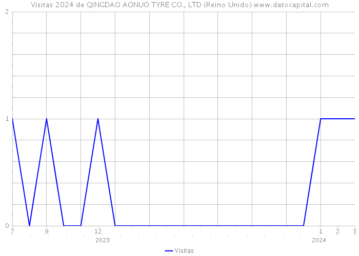 Visitas 2024 de QINGDAO AONUO TYRE CO., LTD (Reino Unido) 