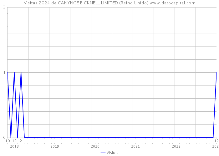 Visitas 2024 de CANYNGE BICKNELL LIMITED (Reino Unido) 