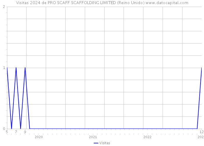 Visitas 2024 de PRO SCAFF SCAFFOLDING LIMITED (Reino Unido) 
