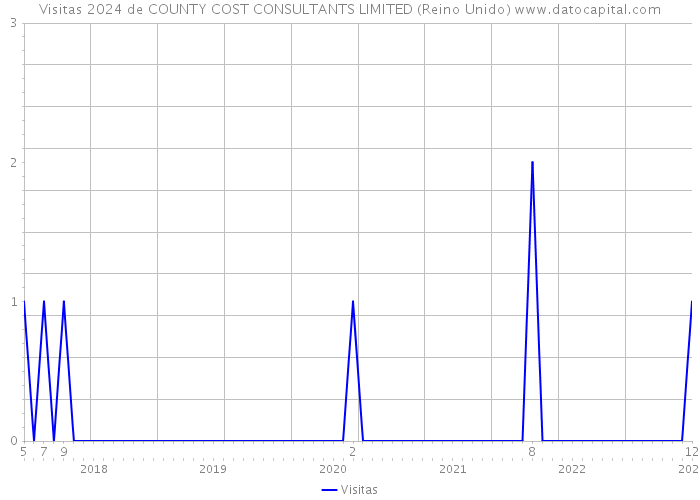 Visitas 2024 de COUNTY COST CONSULTANTS LIMITED (Reino Unido) 