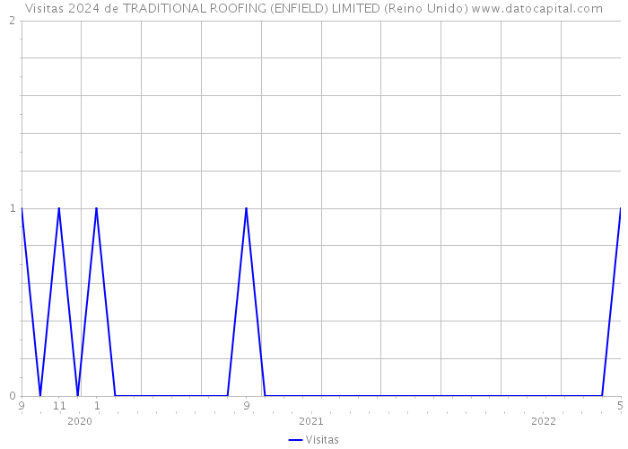 Visitas 2024 de TRADITIONAL ROOFING (ENFIELD) LIMITED (Reino Unido) 