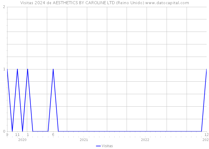 Visitas 2024 de AESTHETICS BY CAROLINE LTD (Reino Unido) 