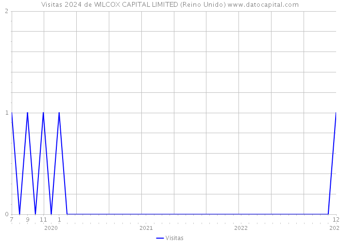 Visitas 2024 de WILCOX CAPITAL LIMITED (Reino Unido) 