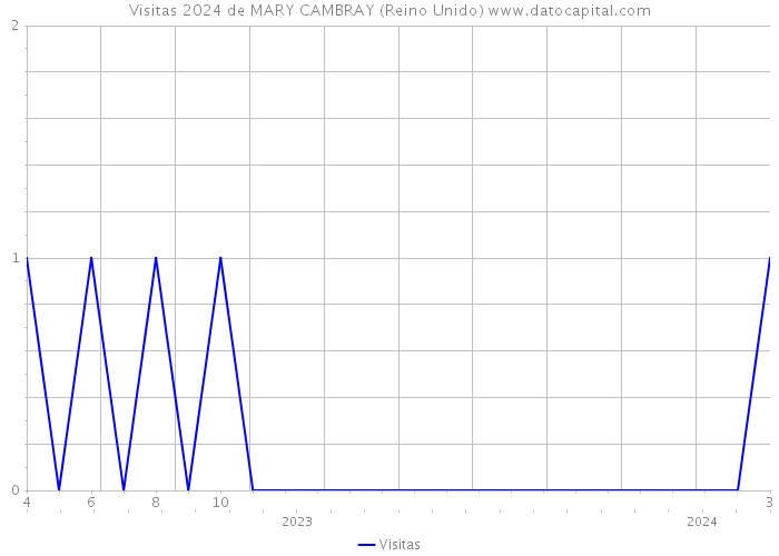 Visitas 2024 de MARY CAMBRAY (Reino Unido) 