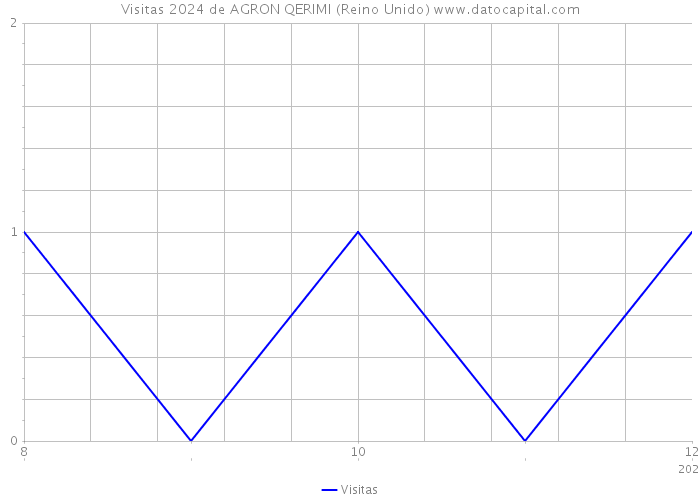 Visitas 2024 de AGRON QERIMI (Reino Unido) 