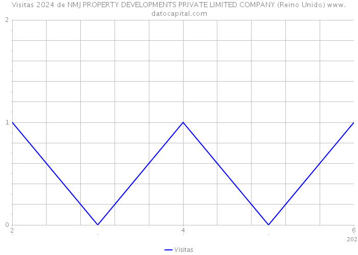 Visitas 2024 de NMJ PROPERTY DEVELOPMENTS PRIVATE LIMITED COMPANY (Reino Unido) 