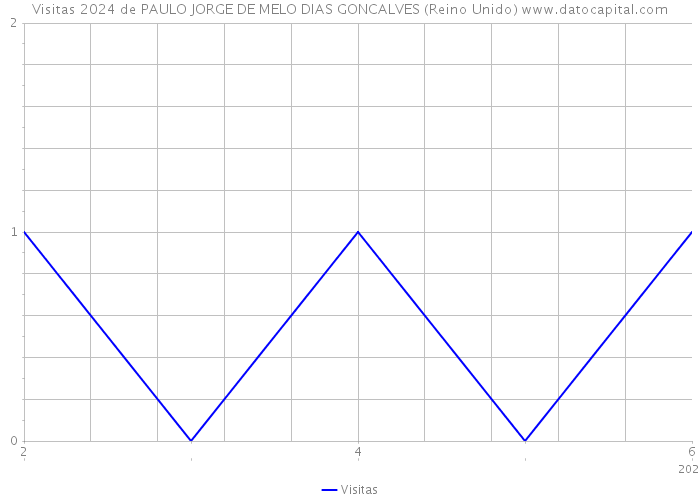 Visitas 2024 de PAULO JORGE DE MELO DIAS GONCALVES (Reino Unido) 