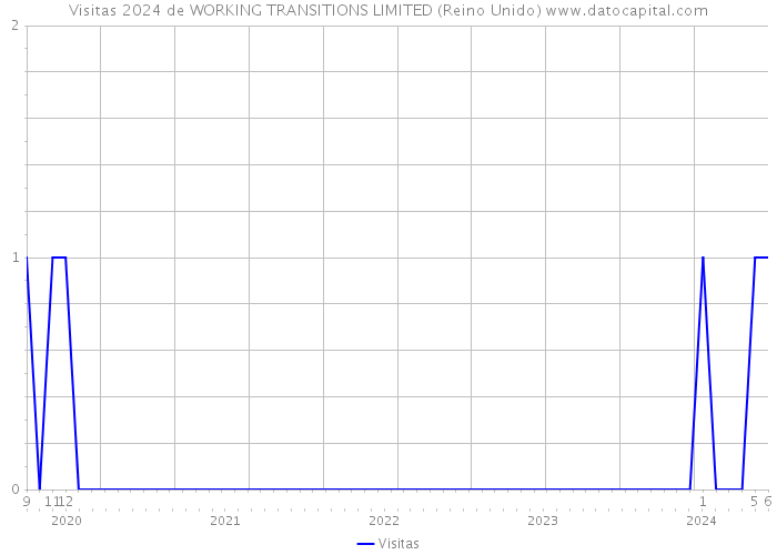 Visitas 2024 de WORKING TRANSITIONS LIMITED (Reino Unido) 