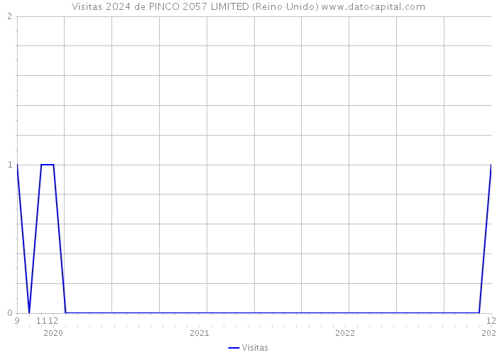 Visitas 2024 de PINCO 2057 LIMITED (Reino Unido) 