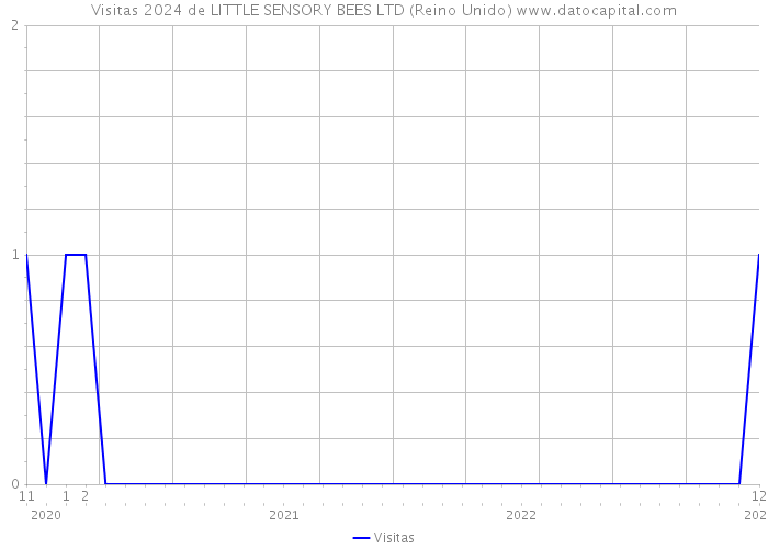 Visitas 2024 de LITTLE SENSORY BEES LTD (Reino Unido) 