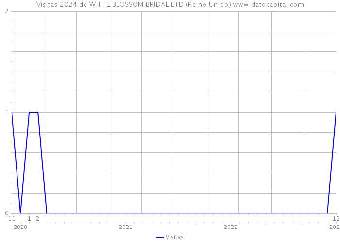 Visitas 2024 de WHITE BLOSSOM BRIDAL LTD (Reino Unido) 