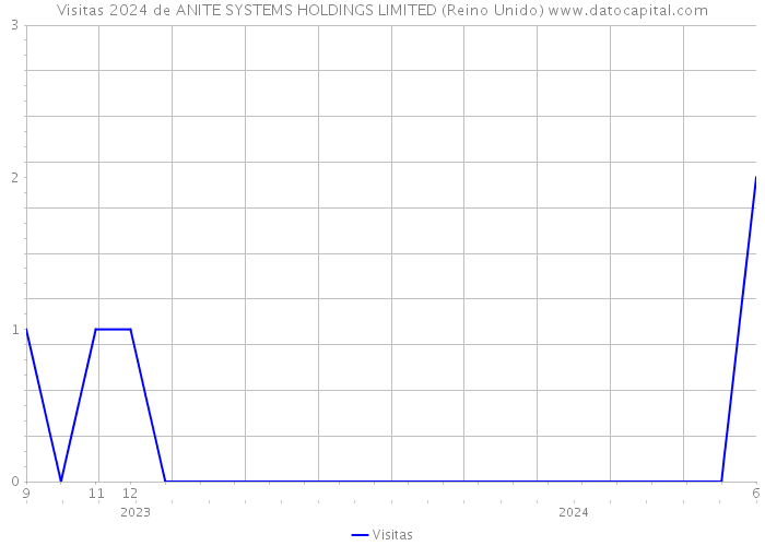 Visitas 2024 de ANITE SYSTEMS HOLDINGS LIMITED (Reino Unido) 