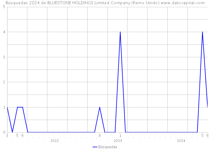 Búsquedas 2024 de BLUESTONE HOLDINGS Limited Company (Reino Unido) 