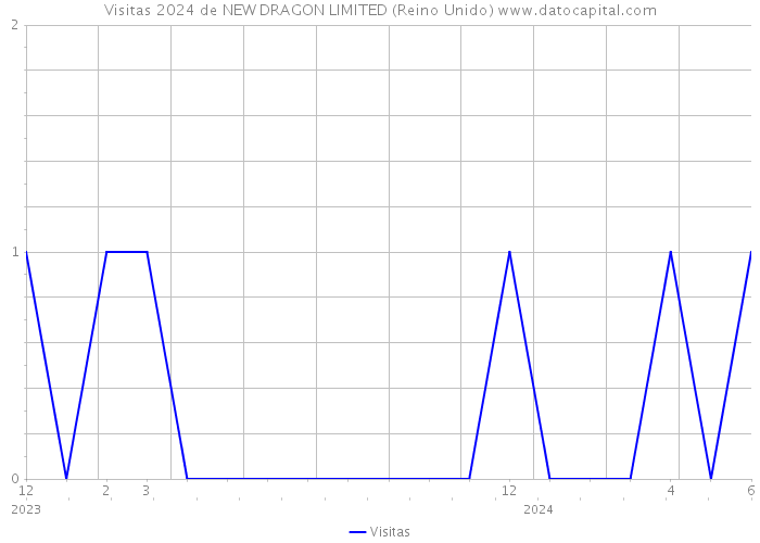 Visitas 2024 de NEW DRAGON LIMITED (Reino Unido) 