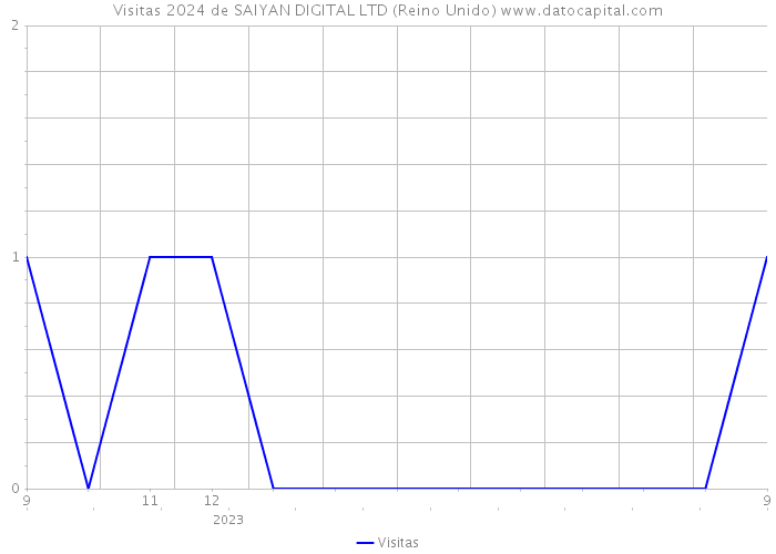 Visitas 2024 de SAIYAN DIGITAL LTD (Reino Unido) 