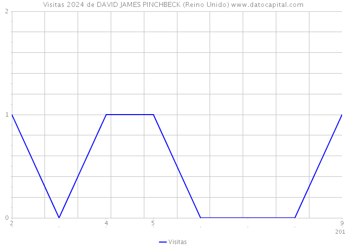 Visitas 2024 de DAVID JAMES PINCHBECK (Reino Unido) 