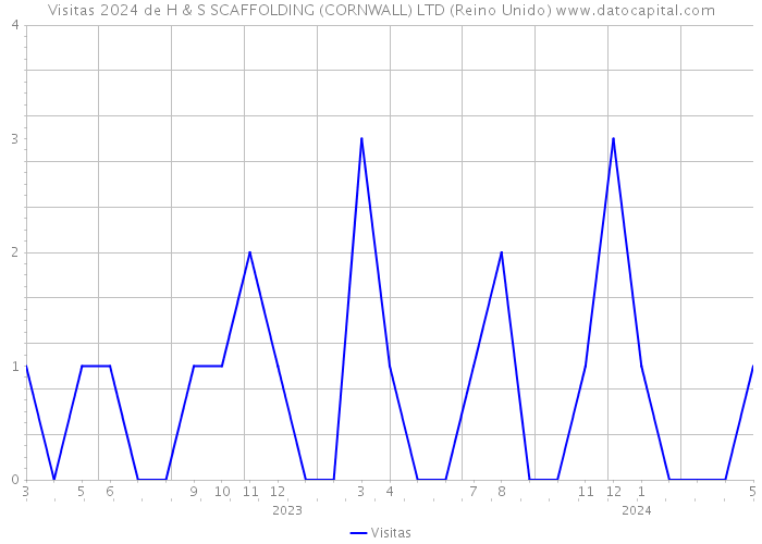 Visitas 2024 de H & S SCAFFOLDING (CORNWALL) LTD (Reino Unido) 