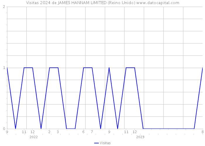 Visitas 2024 de JAMES HANNAM LIMITED (Reino Unido) 