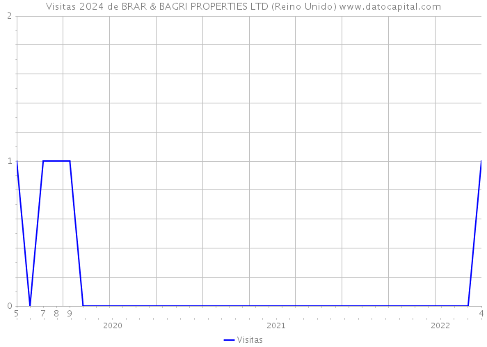 Visitas 2024 de BRAR & BAGRI PROPERTIES LTD (Reino Unido) 