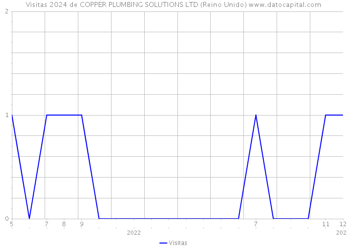 Visitas 2024 de COPPER PLUMBING SOLUTIONS LTD (Reino Unido) 