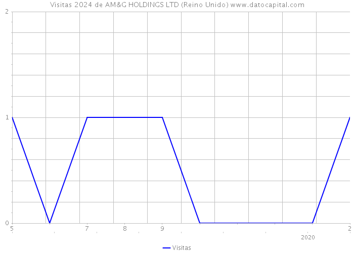 Visitas 2024 de AM&G HOLDINGS LTD (Reino Unido) 