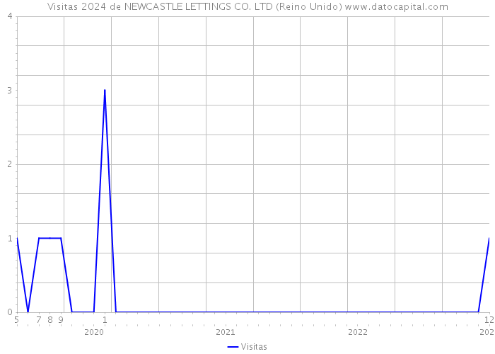 Visitas 2024 de NEWCASTLE LETTINGS CO. LTD (Reino Unido) 