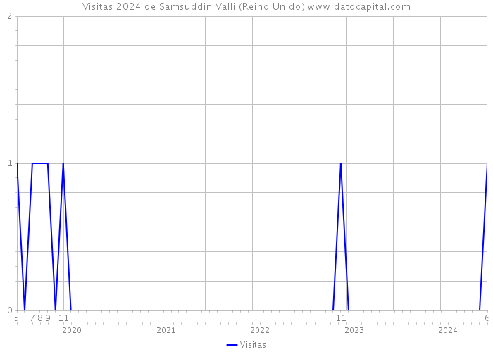 Visitas 2024 de Samsuddin Valli (Reino Unido) 