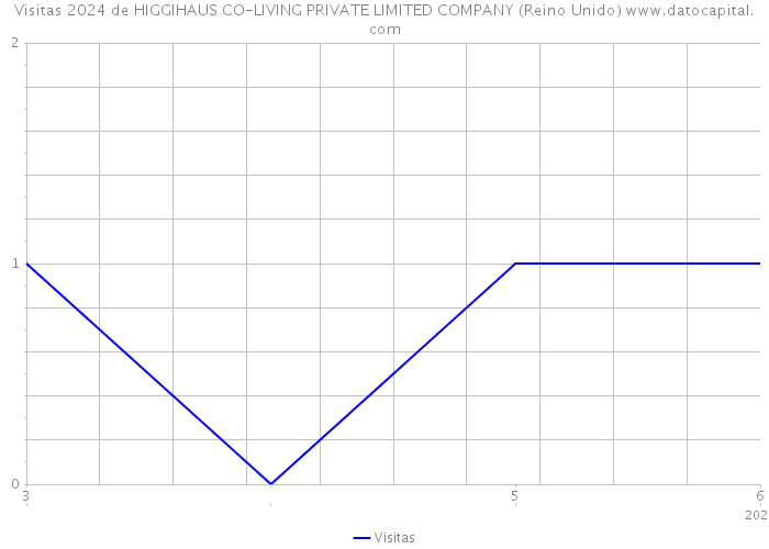 Visitas 2024 de HIGGIHAUS CO-LIVING PRIVATE LIMITED COMPANY (Reino Unido) 