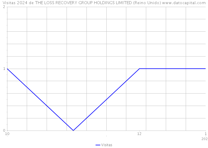 Visitas 2024 de THE LOSS RECOVERY GROUP HOLDINGS LIMITED (Reino Unido) 
