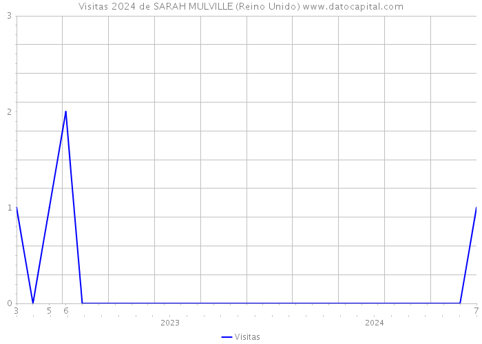 Visitas 2024 de SARAH MULVILLE (Reino Unido) 