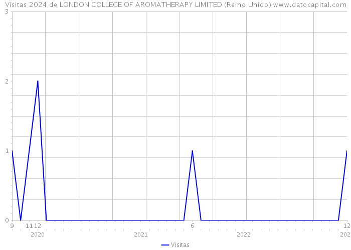 Visitas 2024 de LONDON COLLEGE OF AROMATHERAPY LIMITED (Reino Unido) 