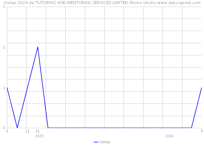 Visitas 2024 de TUTORING AND MENTORING SERVICES LIMITED (Reino Unido) 