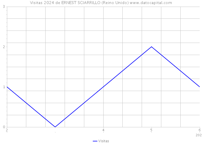 Visitas 2024 de ERNEST SCIARRILLO (Reino Unido) 