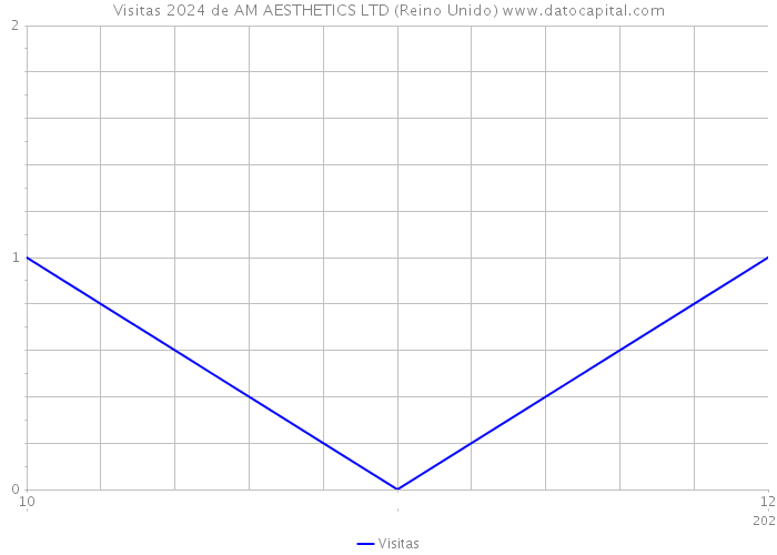 Visitas 2024 de AM AESTHETICS LTD (Reino Unido) 