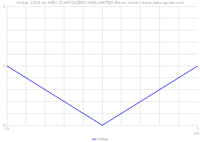 Visitas 2024 de APEX SCAFFOLDERS (NW) LIMITED (Reino Unido) 