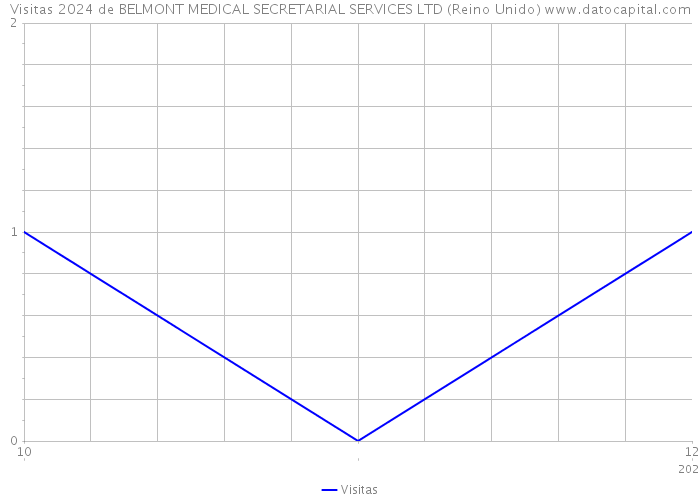 Visitas 2024 de BELMONT MEDICAL SECRETARIAL SERVICES LTD (Reino Unido) 