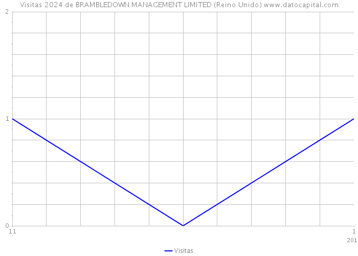 Visitas 2024 de BRAMBLEDOWN MANAGEMENT LIMITED (Reino Unido) 