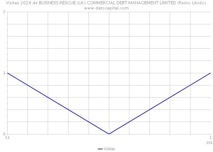 Visitas 2024 de BUSINESS RESCUE (UK) COMMERCIAL DEBT MANAGEMENT LIMITED (Reino Unido) 