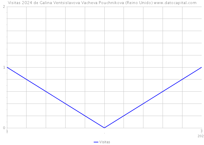 Visitas 2024 de Galina Ventsislavova Vacheva Pouchnikova (Reino Unido) 