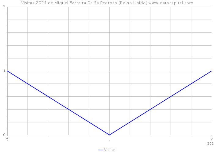 Visitas 2024 de Miguel Ferreira De Sa Pedroso (Reino Unido) 