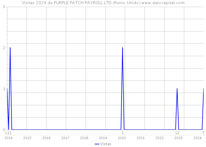 Visitas 2024 de PURPLE PATCH PAYROLL LTD (Reino Unido) 
