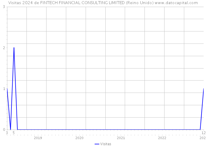 Visitas 2024 de FINTECH FINANCIAL CONSULTING LIMITED (Reino Unido) 