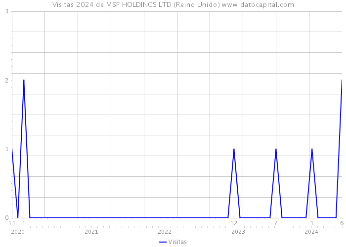 Visitas 2024 de MSF HOLDINGS LTD (Reino Unido) 