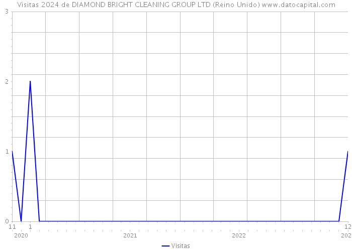 Visitas 2024 de DIAMOND BRIGHT CLEANING GROUP LTD (Reino Unido) 