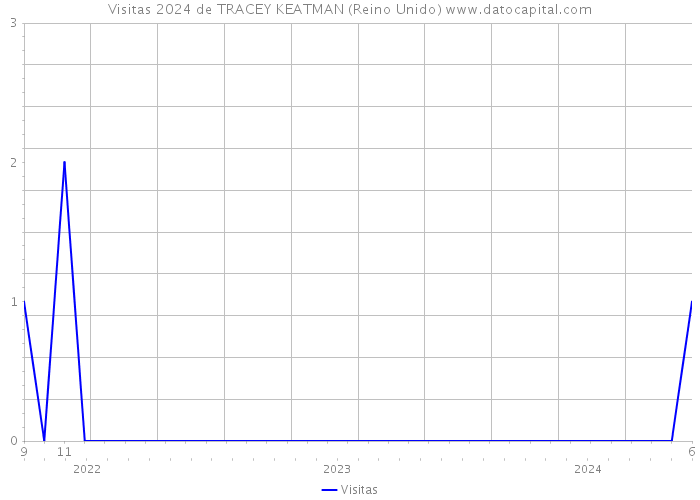 Visitas 2024 de TRACEY KEATMAN (Reino Unido) 