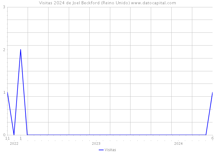 Visitas 2024 de Joel Beckford (Reino Unido) 